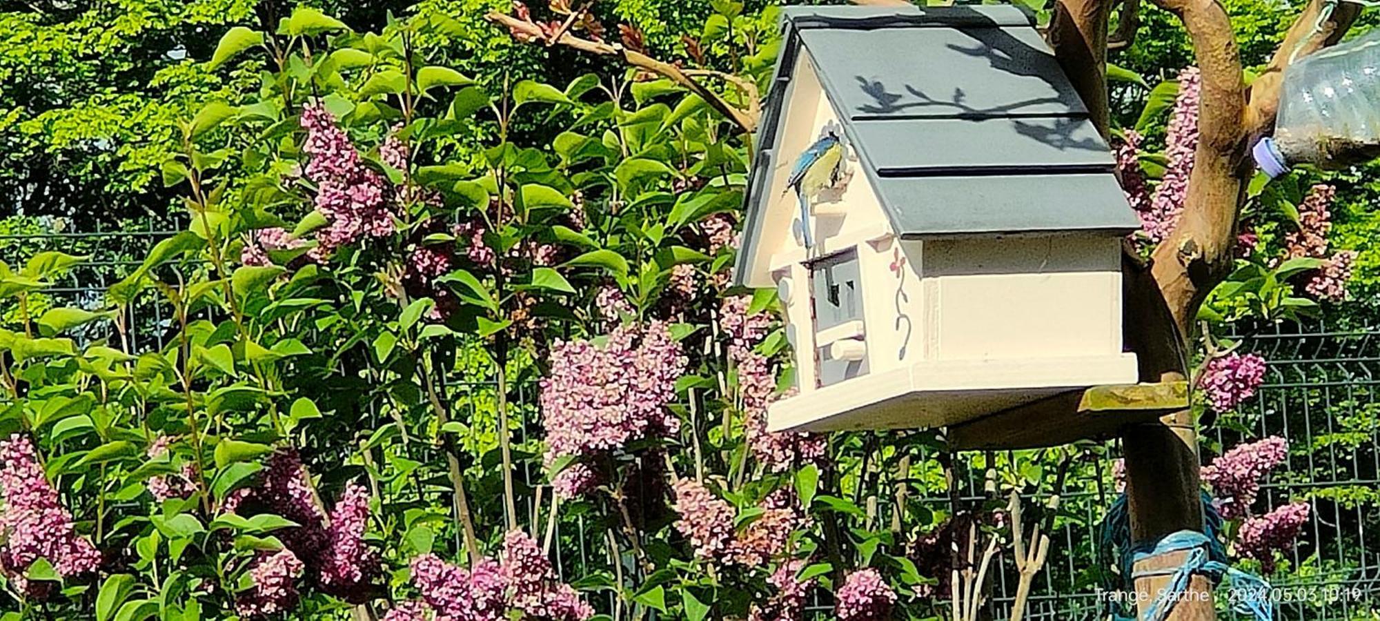 Laloue Lägenhet Trangé Exteriör bild